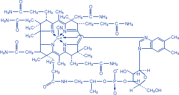 : http://www.vitamini.ru/img/formulas/vit_b12-3.gif